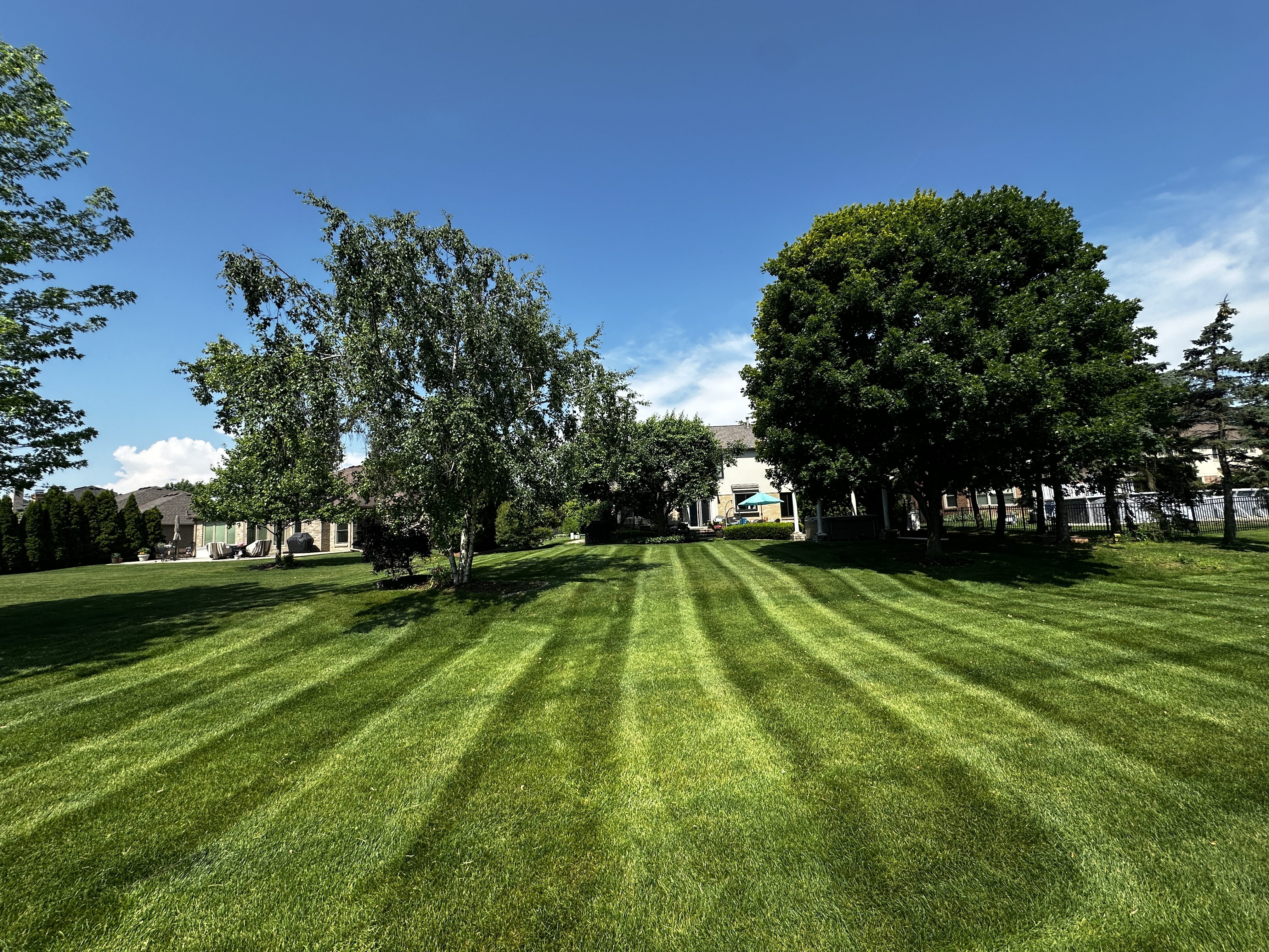 Weekly lawn mowing service result