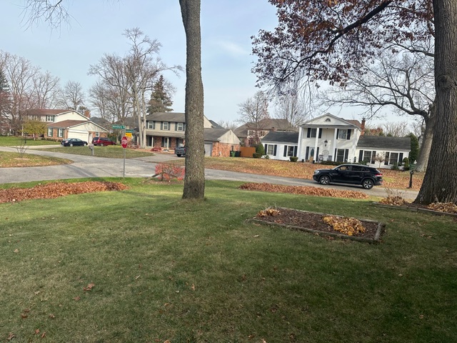 Fall cleanup with leaf piles by street